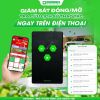cong-tac-cua-cuon-co - ảnh nhỏ 4